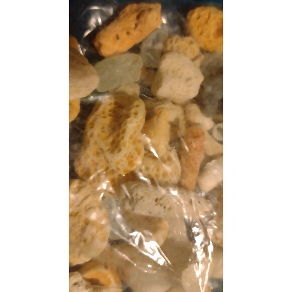 Corals and Beach Gems - Picture 4 of 7